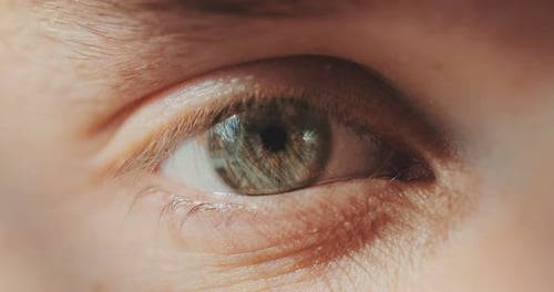 Close Up of a Male Eye Detail of a Green Eye of a Man Looking at Camera