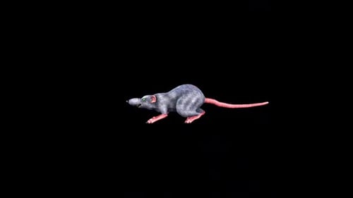 Toon Zombie Rat Idle 3