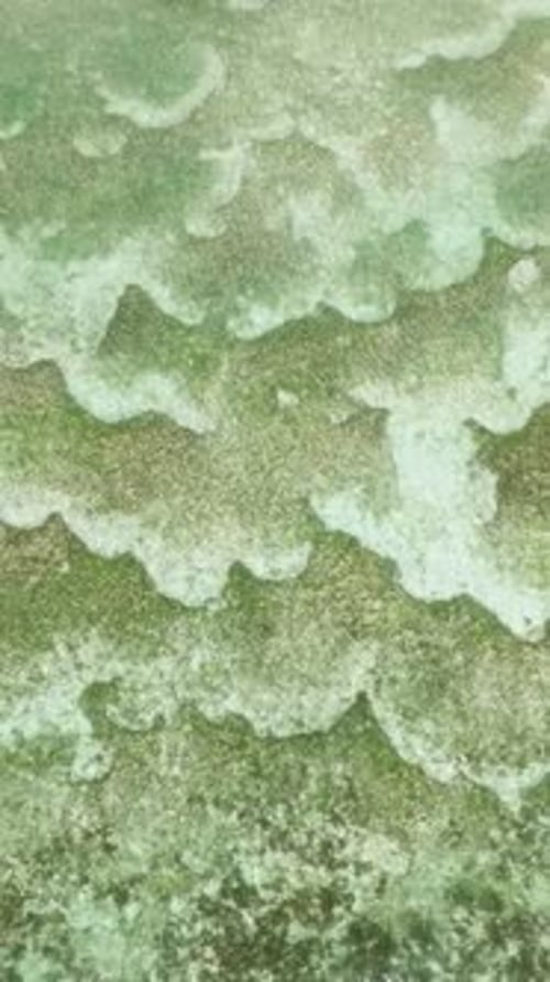 Ocean Floor with Coral Reefs in Tropical Open Sea