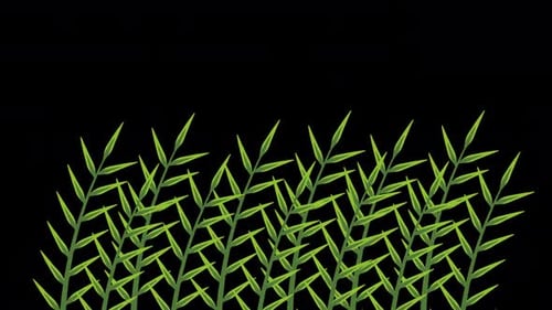 Cartoon Style Seamless Loop 2D Leaf Animation On Transparent Background