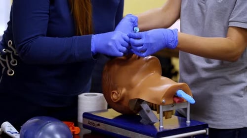 Medical Training On Dummy Head