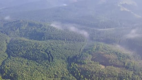Flight over a Summer Valley Among Forested Hills