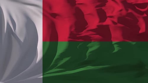 Waving Flag Realistic Fabric Animation