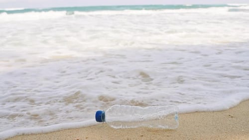 Plastic Bottle Pollution on Sandy Beach Shoreline