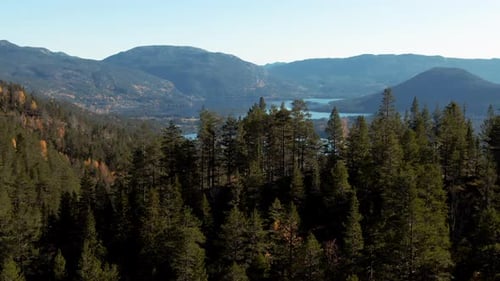 Vue prise par drone révélant une vallée montagneuse norvégienne parsemée de lacs et de pins. Tourné dans la région du Télémark