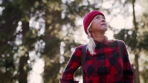Active Senior Woman Hiking in Sunny Green Forest