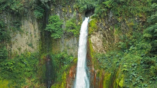 Tall waterfall descends cliffside lush with foliage in Costa Rica cloud forest jungle