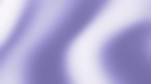 Abstract Fluid Gradient Background Animation in Purple and White