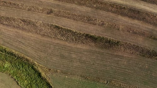 Flying above agricultural meadow and arable field aerial view