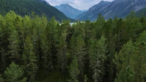 Amazing View of the Turquoise Kucherlin Lake in Altai Mountains
