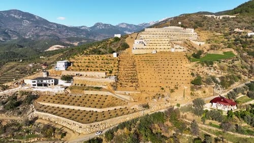 Rich Tapestry Cinematic Drone Films the Vibrant Avocado Fields in Turkey's Farming Region