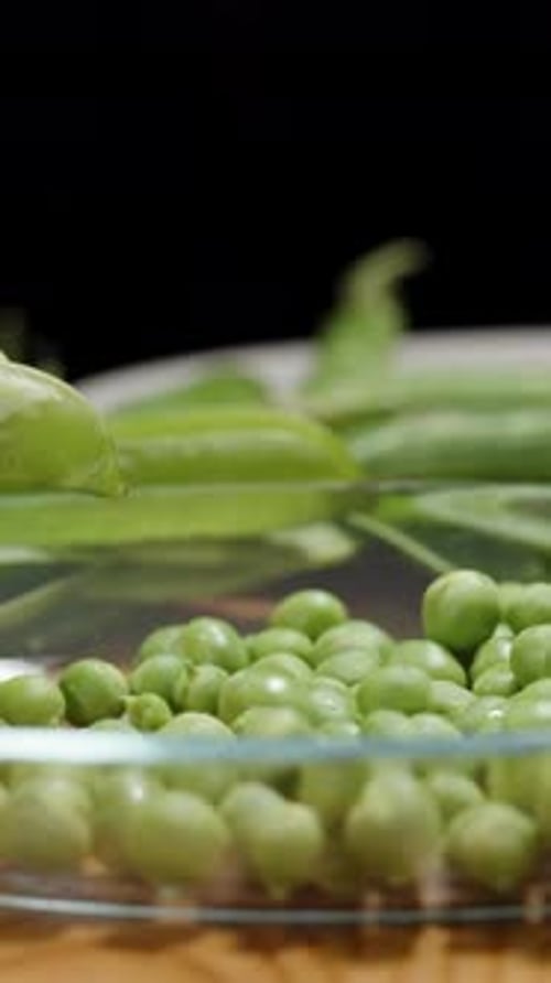 Vertical video. The farmer shells homegrown peas from green pods, many peas pouring into the plate.