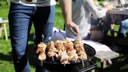 Friends Enjoying a Backyard Barbecue on a Sunny Day