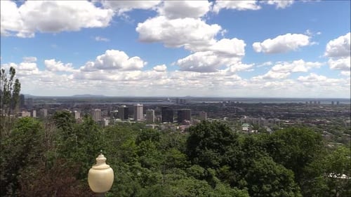 Aerial drone view of vast landscape featuring mix of dense trees and city buildings in Canada, stret