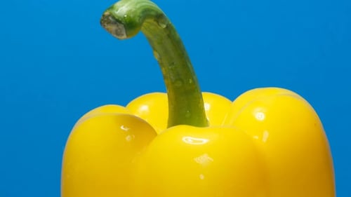 Eine Nahaufnahme einer gelben Paprika, die sich im Kreis dreht, köstliches frisches Gemüse