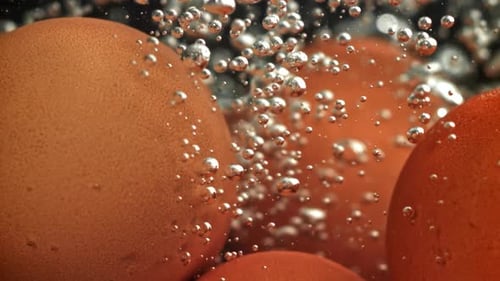 Hühnereier in kochendem Wasser, gefilmt mit einer Hochgeschwindigkeitskamera mit 1000 Bildern pro Sekunde