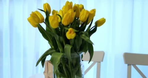 Elegant Yellow Tulips in Vase, Home Setting