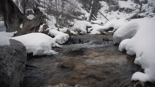 Mountain stream flowing through snowy winter landscape