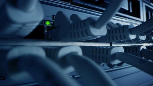 Macro Shot: Ethernet Cables Connected to Router Ports with Blinking Lights. Telecommunications: RJ4