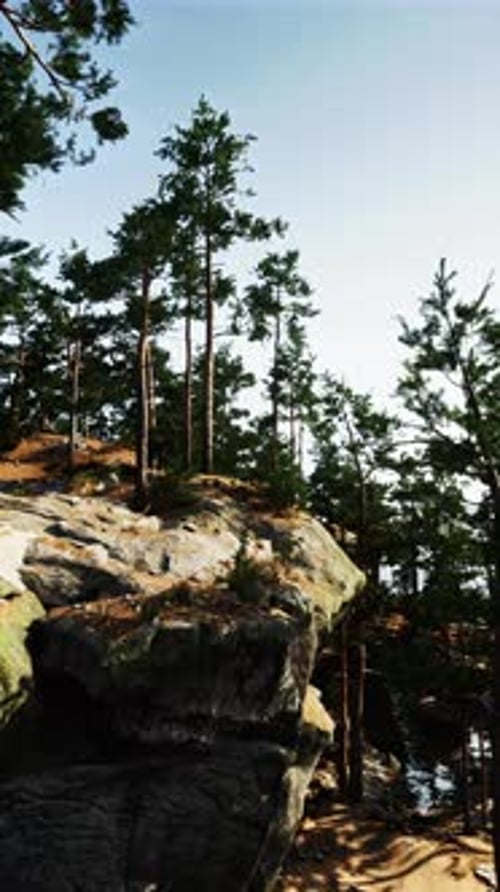 Rocky Cliff With Trees
