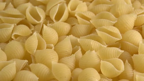 Uncooked Shell Pasta Background