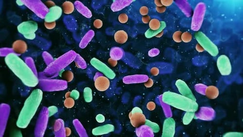 Animated Microscopic Organisms Scientific Visualization Background