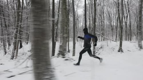 Male Athlete Having Trail Jogging at Winter Woods