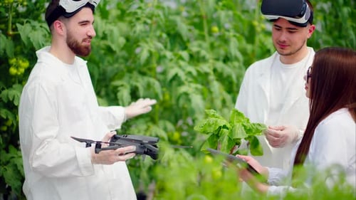 Scientists Using Drone and VR in Greenhouse