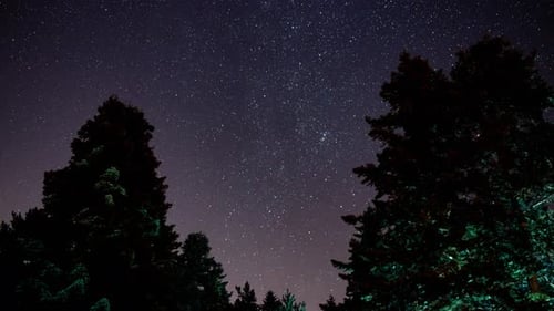 Stars Night (4K)