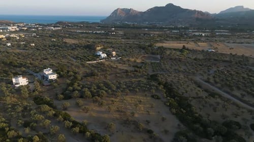 Zumbido inclinándose sobre olivos y villas, en la costa de Rodas, Grecia, puesta de sol
