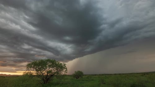 Dramatic Rainstorm Sweeping Across Green Landscape at Sunset