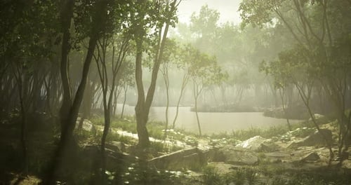 Serene Morning Light Filters Through Tall Trees By a Tranquil Pond