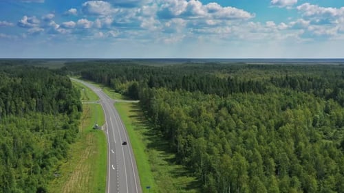 Aerial Top View of Country Road in Forest