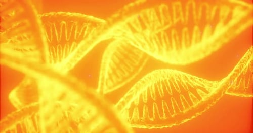 Exploring the Intricate Beauty of DNA Structures Illuminated By Vibrant Light