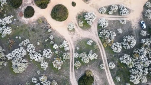 Aerial top down shot of mud landscape with coastline of Portugal