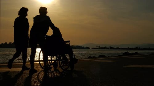People with Disabilities By Lake in Evening
