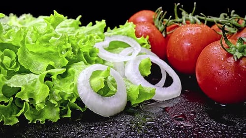 Fresh Salad Ingredients with Tomatoes and Onion Rings