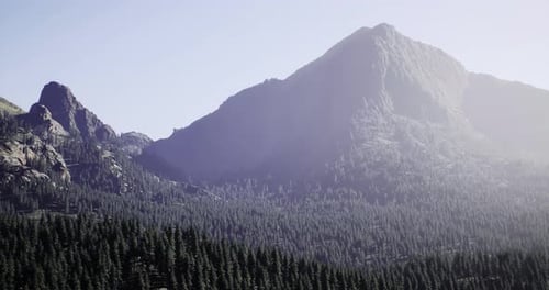 Majestic Mountain Landscape with Vast Evergreen Trees Under Clear Sky