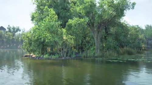 Tranquil Waters Reflecting Lush Greenery on a Serene Lakeside Island