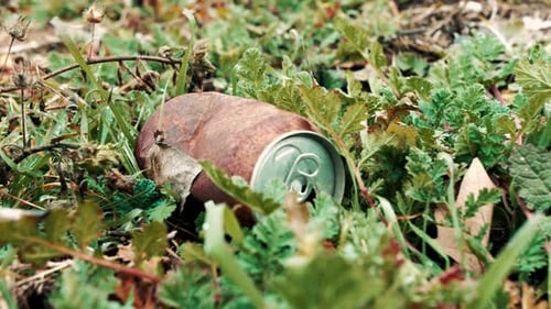 close up old rusty soda scrap can left for litter laying in nature grass field
