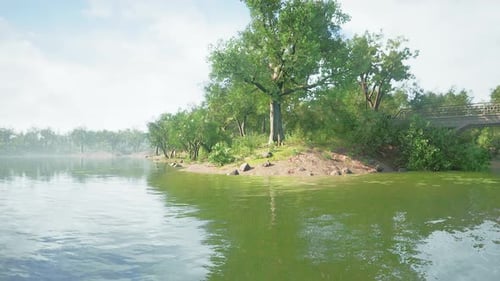 Beautiful Colorful Summer Spring Natural Landscape with a Lake in Park