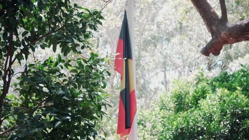 Aboriginal Flag Hanging Down From Tree Branch - Port Macquarie, NSW - Medium Closeup Shot