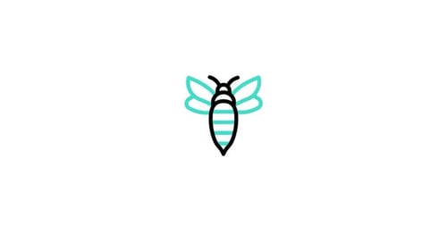Minimalist Line Art Bee Drawing Reveal Animation