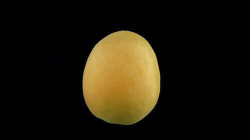 Large yellow plum