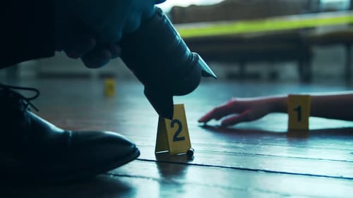 Crime Scene Investigation with Camera and Evidence Markers