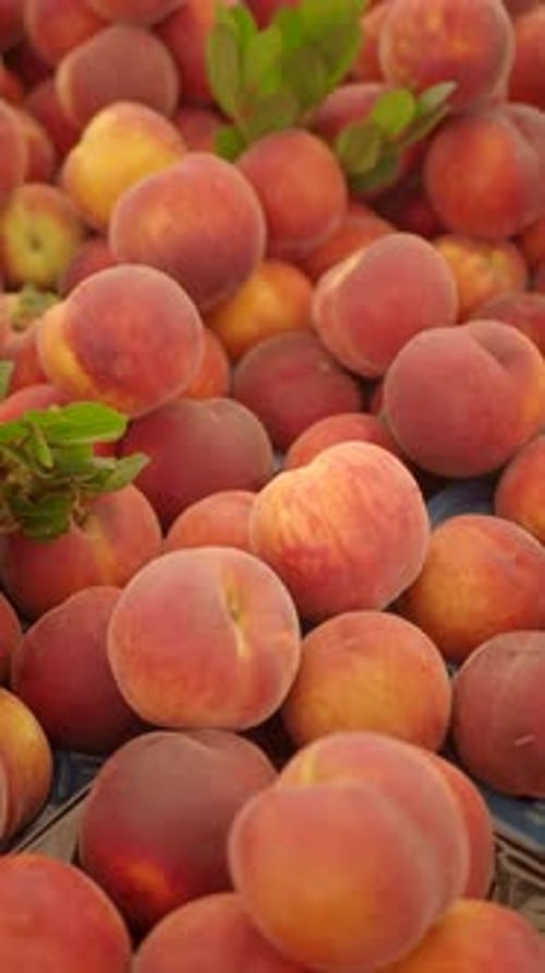 Fresh Peaches on Display at a Local Farmers Market