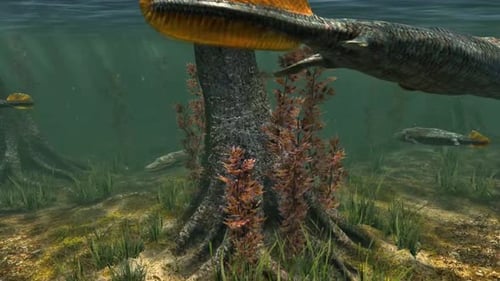 Tiktaalik dans l'eau