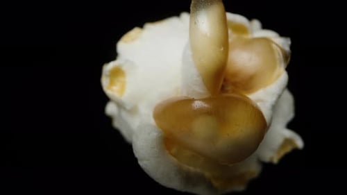 Lonely popcorn rotates, the concept of falling, macro zoom.