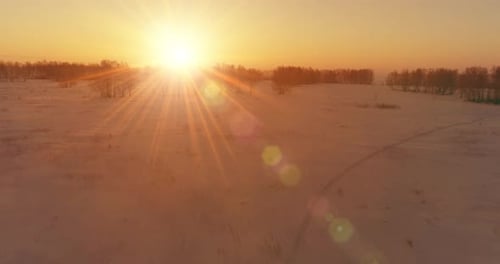 Luftaufnahme einer kalten Winterlandschaft mit arktischen Feldbäumen, bedeckt mit Frostschnee und