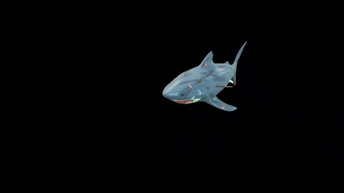 Animated Stylized Shark with Darts Turning on Black Background